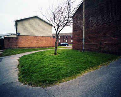 photograph