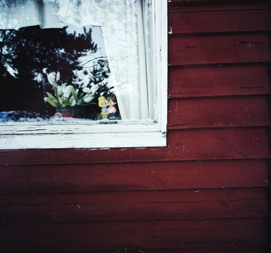 photograph