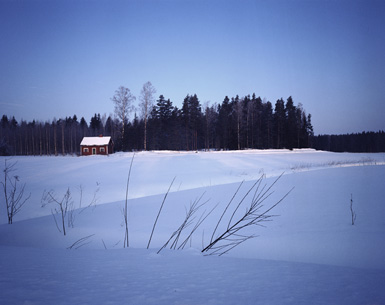 photograph